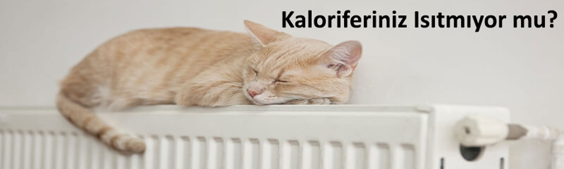 Kalorifer Tesisatı Tamiri